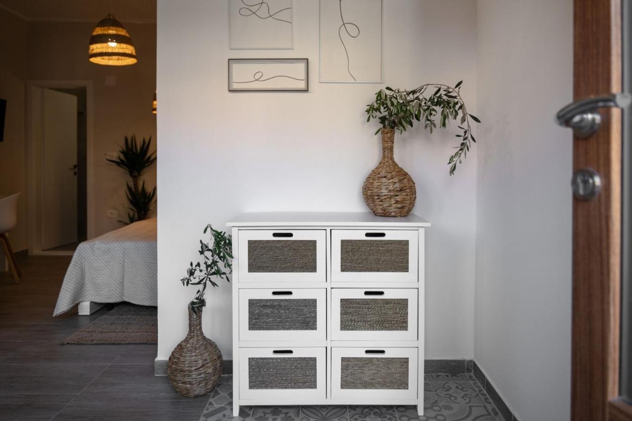 Apartments Alloro By Seeadria Agency Novigrad Istria المظهر الخارجي الصورة
