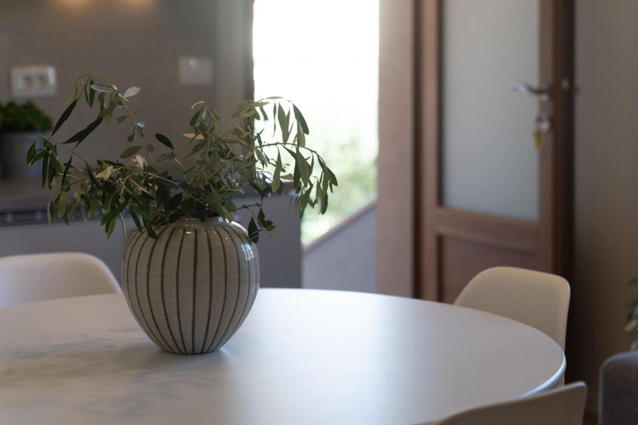 Apartments Alloro By Seeadria Agency Novigrad Istria المظهر الخارجي الصورة